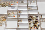 Drawer of the bug collection