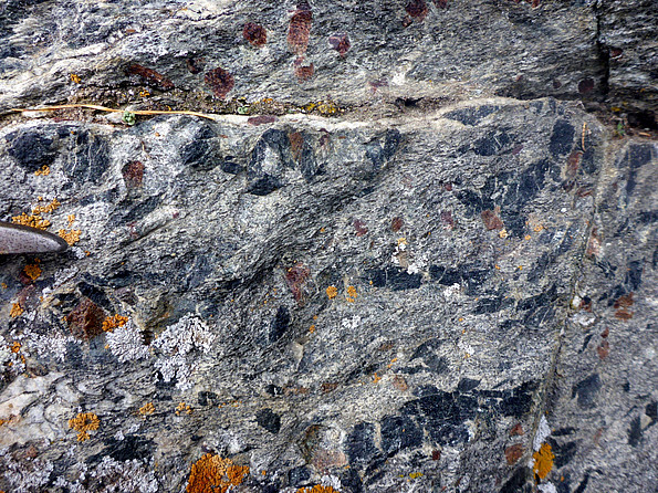 Metamorphes Gestein mit groß-wüchsigen Mineralen: Granat (rot-violett) und Amphibol (schwarz)