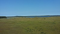 Bild 2: Eines der Hochmoore im Store Mosse Nationalpark in Schweden. Im Hintergrund ist der See Kävsjön zu sehen - Foto von N. Wehner