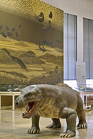 Modell eines Dinogorgon – ein Reptil aus der Permzeit