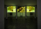 Begehbare MikroKlang-MakroFilm-EreignisSphäre im Museum (Fotos: Volker Griener, SMNK)