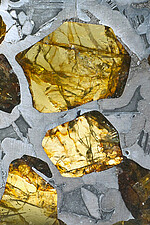 Pallasit – ein Steineisenmeteorit mit Olivinkristallen (Detail)