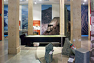 A view of the permanent exhibition "Geology on the Upper Rhine"