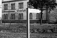 Wegweiser zum Vivarium, 1950er Jahre