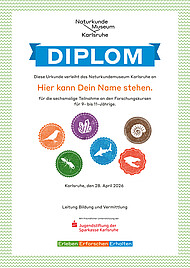 Alle Teilnehmenden erhalten nach sechs Kursen eine Diplomurkunde. Alle Teilnehmenden erhalten nach sechs Kursen eine Diplomurkunde.