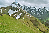 Alpine meadow (Foto: H.Höfer)