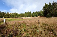 Die Offenhaltungsversuche sind eine Langzeitversuchsreihe von Baden-Württemberg. Es geht darum, Flächen mit verschiedenen Methoden frei von höherem Bewuchs zu halten. Hier im Bild der Standort Bernau-Innerlehen im Schwarzwald - Foto N. Wehner