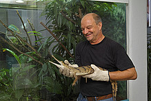 Die späteren Bewohner der Krokodilanlage, Australische Süßwasserkrokodile, ziehen im Juni 2014 in unser Foyer ein.