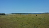 Bild 13: Eines der Hochmoore im Store Mosse Nationalpark in Schweden - Foto von N. Wehner