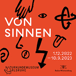 SINNvoll – das Museumserlebnis in vereinfachter Sprache