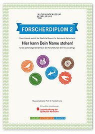 Alle Teilnehmenden erhalten nach sechs Kursen das "Forscherdiplom 2".