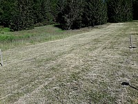 Kurz nach dem Mulchschnitt. Die Streu ist noch nicht zersetzt und liegt zwischen und auf den Stoppeln auf. Die Holzpfähle markieren das Dauerquadrat, wo die Arten erfasst werden - Foto J. Simmel