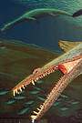 Model of a nothosaur – a marine reptile from a land-locked Muschelkalk sea