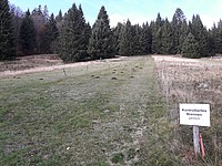 Die vielen Maulwurfshügel stehen für ein aktives Bodenleben. Auch der Badische Riesenregenwurm kommt in dem Gebiet vor, der zu den tiefhumosen Braunerden in dem Gebiet beiträgt. Zwischen Foto und letztem Mulchen liegen ca. 6 Wochen - Foto J. Simmel