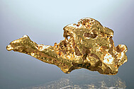 Gold nugget