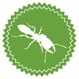 Forschungskurs (9–11 Jahre): Insekten – sechsbeinige Vielfalt