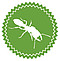 Forschungskurs (9–11 Jahre): Insekten – sechsbeinige Vielfalt
