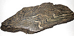 Folded mica schist