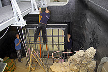 Nach Beendigung der Riffbauarbeiten kann auch die letzte 13 cm dicke Acrylglasscheibe im Haibecken eingebaut werden…