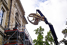 Im September 2015 schwebt ein unbekanntes Flugobjekt über dem Friedrichsplatz: der Schädel unseres Nordkaperwals zieht vom Obergeschoss in die neuen Ausstellungsräume im Erdgeschoss um.