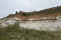 Sukzession in einer Tagebaufläche - Beginn bei Null - Foto J. Simmel