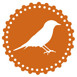 Forscherkurs: Vögel – perfekt ausgerüstet für ihren Lebensraum
