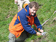 Pitfall trap sampling (Foto: L. Scheuermann)