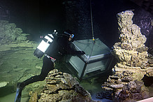 Der Vivariumsleiter Johann Kirchhauser nimmt die lebenden Steine unter Wasser in Empfang und verteilt sie in den bisherigen Riffstrukturen.