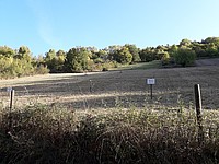 In dem Falle wurden das Brennen, welches links zu sehen ist und das Mulchen 1-mal jährlich ungefähr im selben Zeitraum durchgeführt. Die Vegetation sieht daher annähernd gleich aus. Der Aufwuchs ist fein zerhäckselt - Foto J. Simmel