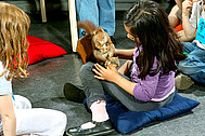 The kindergarten programme – observing animals from up close