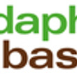 Logo des Projekts